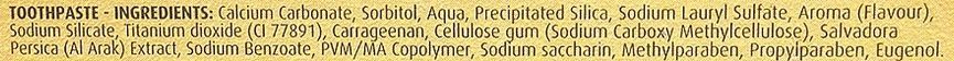 Зубна паста &laquo;Комплексний захист&raquo; + зубна щітка Dabur Miswak Gold Toothpaste 0545 фото