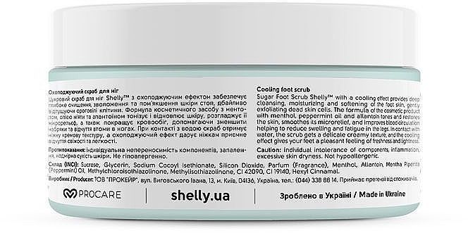 Охолоджувальний скраб для ніг з ментолом та олією м'яти Shelly Professional 01264 фото